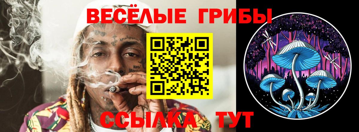 Керчь  Галлюциногенные грибы прущие грибы  Вход с VPN 
